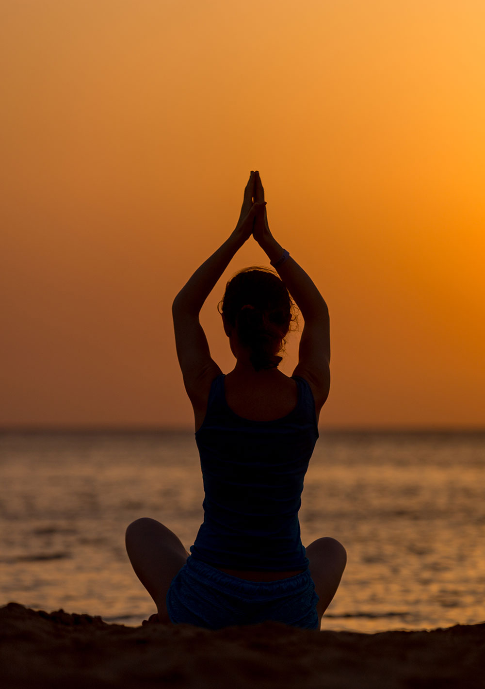 prakruthi-life-yoga-meditation .//wp-content/uploads/2024/05/prakruthi-life-yoga-meditation.jpg